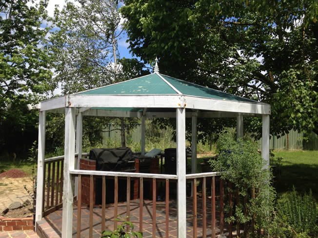 Before Backyard Renovation