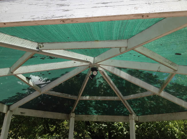 After Backyard Renovation