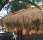 Bali Thatch Process