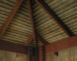 Export Grade Bali Thatch Sample