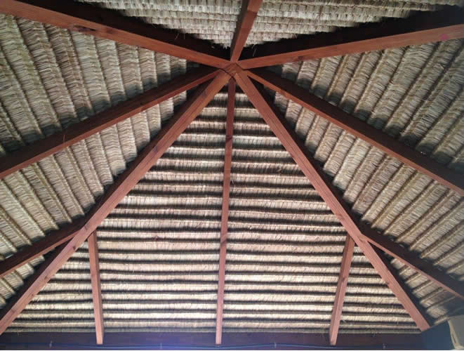 Export Grade Thatch from Exotic East