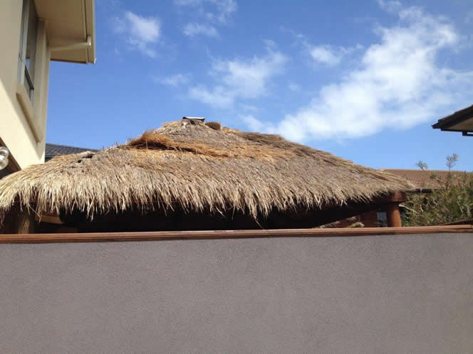 Local Grade Thatch