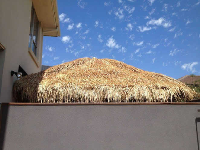 Export Grade Thatch from Exotic East