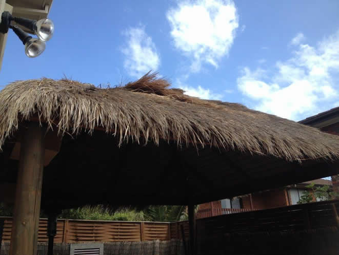 Local Grade Thatch