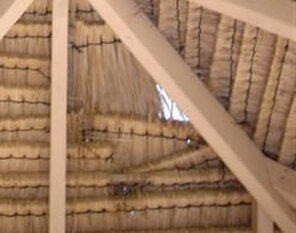 Local Grade Bali Thatch Sample
