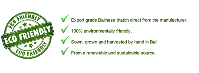 Export grade Bali thatch direct from the manufacturer. Eco friendly Balinese thatch, sown grown and harvested by hand in Bali from a renewable and sustainable resource